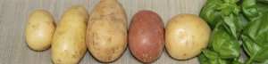 header_line_of_potatoes