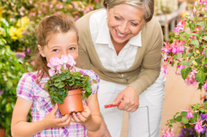 Grandmother and granddaughter holding purple potted cyclamen at garden centre